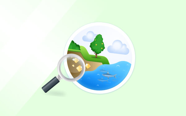 环境系统与社会（ESS）教学大纲地图 - ManageBac+