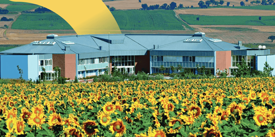 Istanbul International Community School - ManageBac+