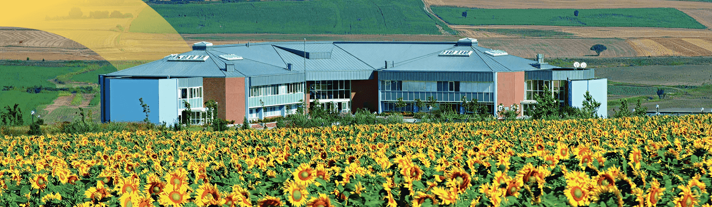 Istanbul International Community School