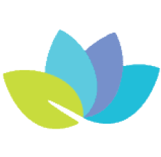 Khan Lab School Case Studies